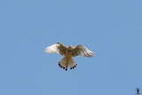 R5.2_12-06-22_229-1