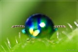 5D 01160