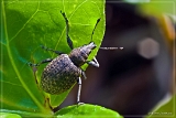 5D 01319_stack