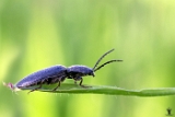 6D 000157