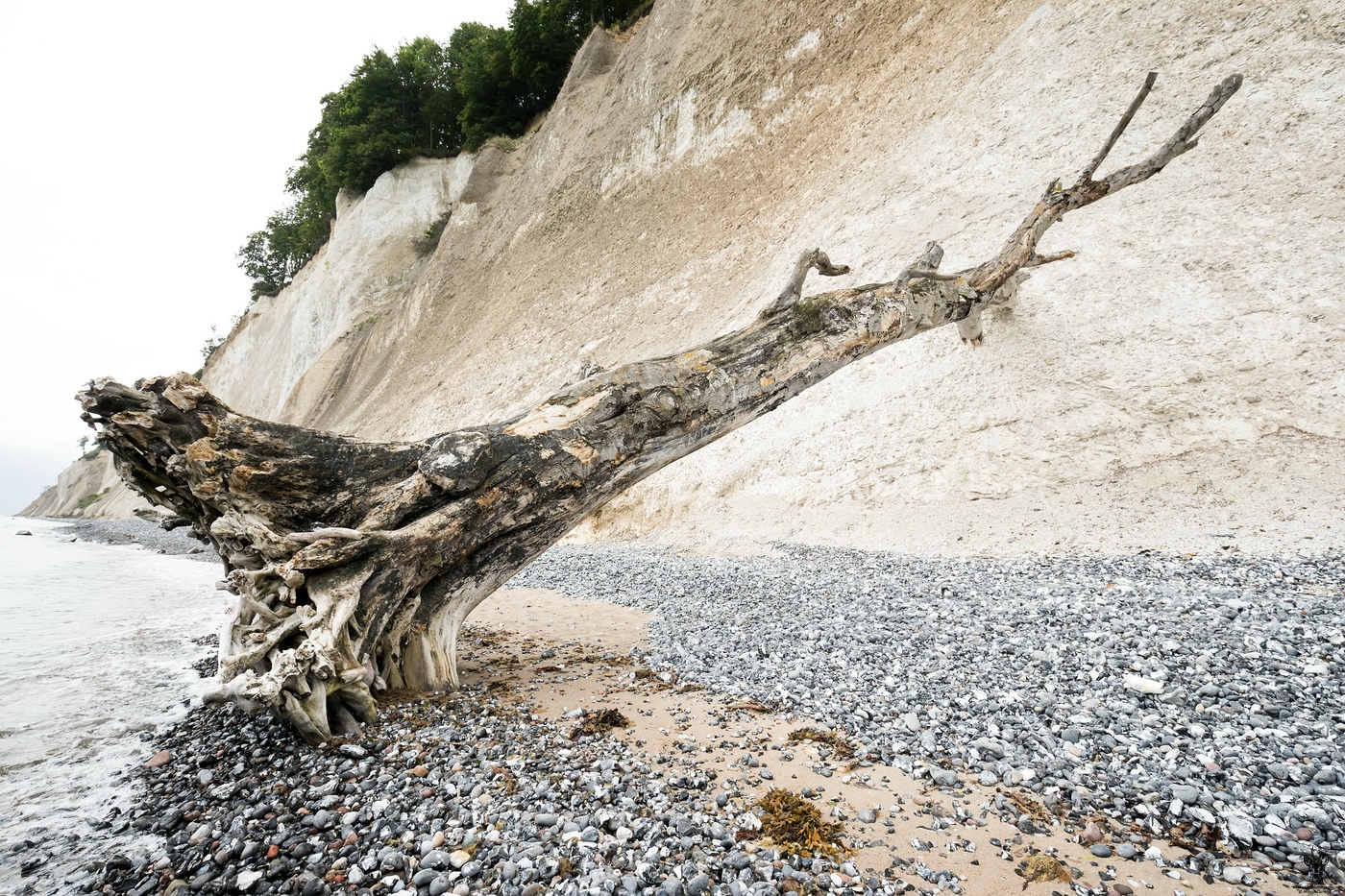 DX2_5949.jpg