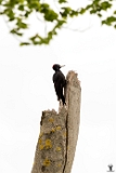 R5.2_20240504_13997-Verbessert-NRx